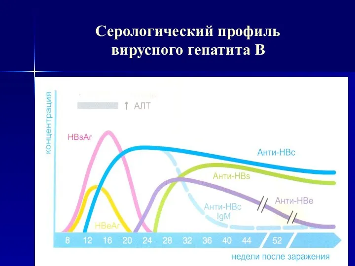 Серологический профиль вирусного гепатита В