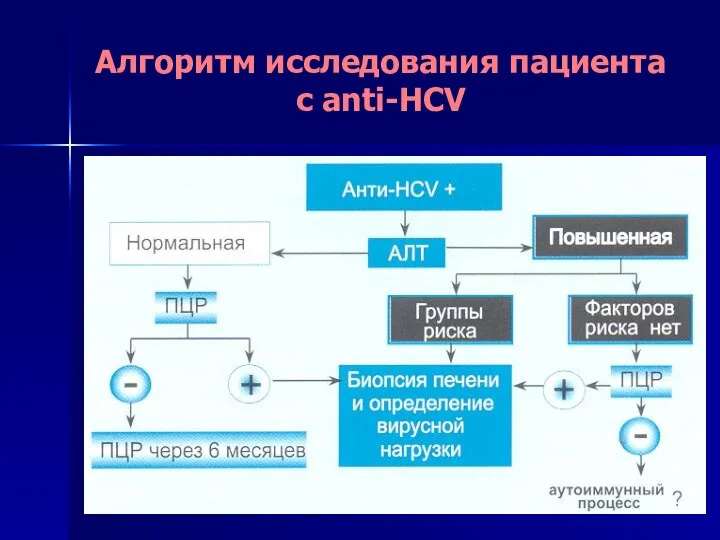 Алгоритм исследования пациента с anti-HCV
