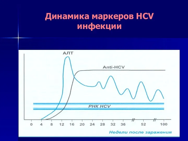 Динамика маркеров HCV инфекции