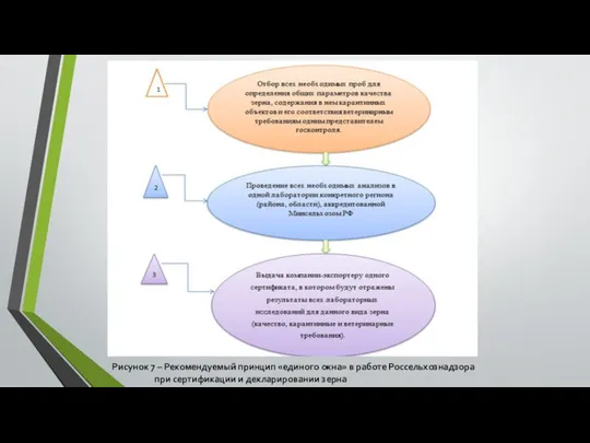 Рисунок 7 – Рекомендуемый принцип «единого окна» в работе Россельхознадзора при сертификации и декларировании зерна