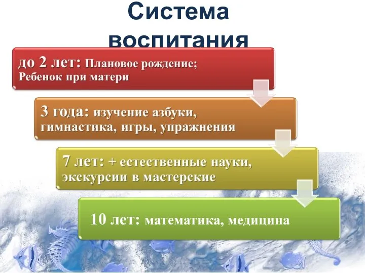 Система воспитания 10 лет: математика, медицина