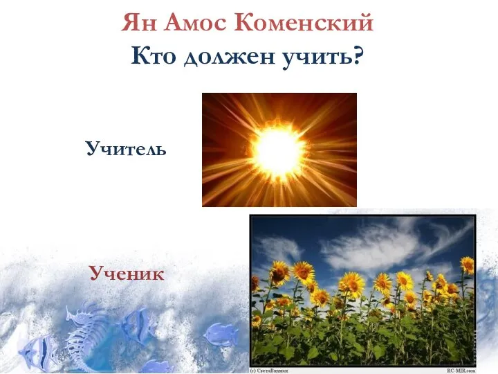 Ян Амос Коменский Кто должен учить? Учитель Ученик