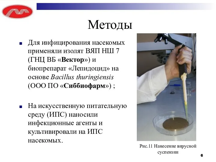 Методы Для инфицирования насекомых применяли изолят ВЯП НШ 7 (ГНЦ ВБ