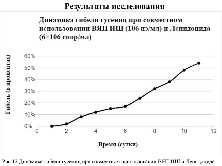 Рис.12 Динамика гибели гусениц при совместном использовании ВЯП НШ и Лепидоцида Результаты исследования