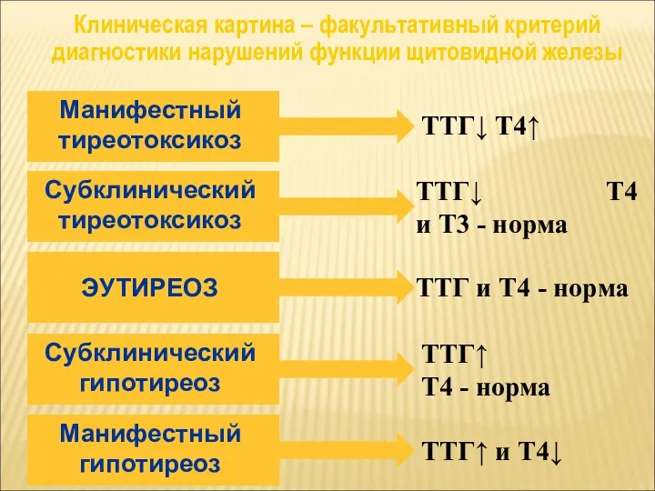 Клиническая картина – факультативный критерий диагностики нарушений функции щитовидной железы ТТГ↓