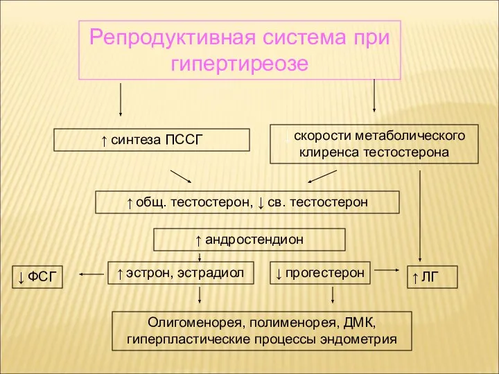 Репродуктивная система при гипертиреозе ↑ общ. тестостерон, ↓ св. тестостерон ↑