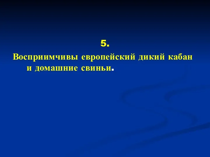 5. Восприимчивы европейский дикий кабан и домашние свиньи.