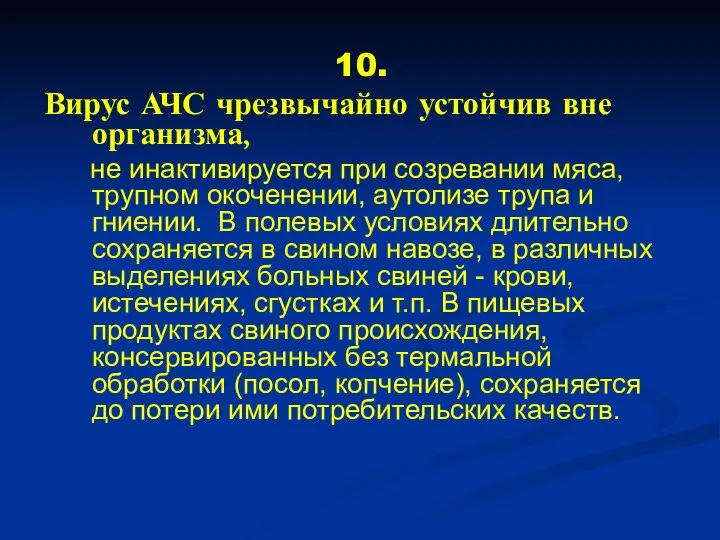 10. Вирус АЧС чрезвычайно устойчив вне организма, не инактивируется при созревании