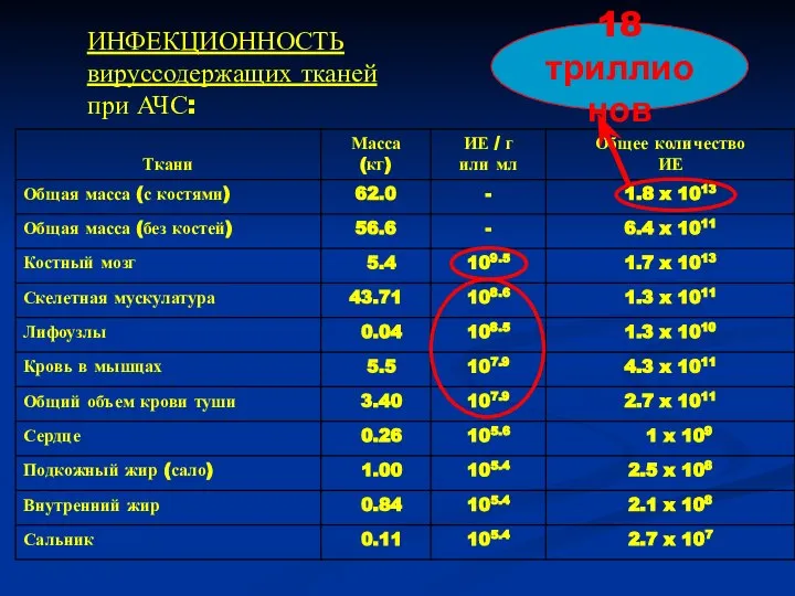 ИНФЕКЦИОННОСТЬ вируссодержащих тканей при АЧС: 18 триллионов