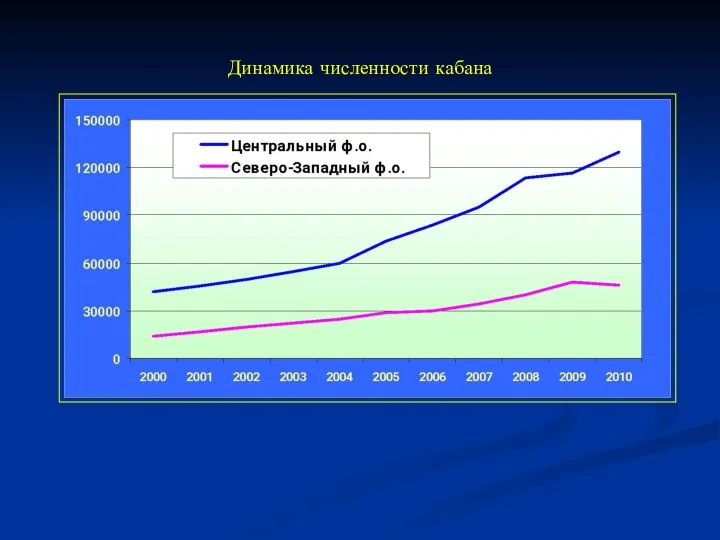 Динамика численности кабана