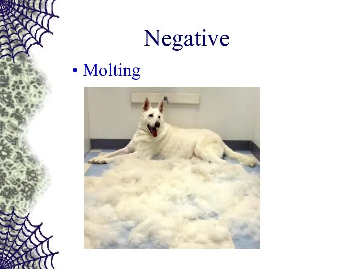 Negative Molting