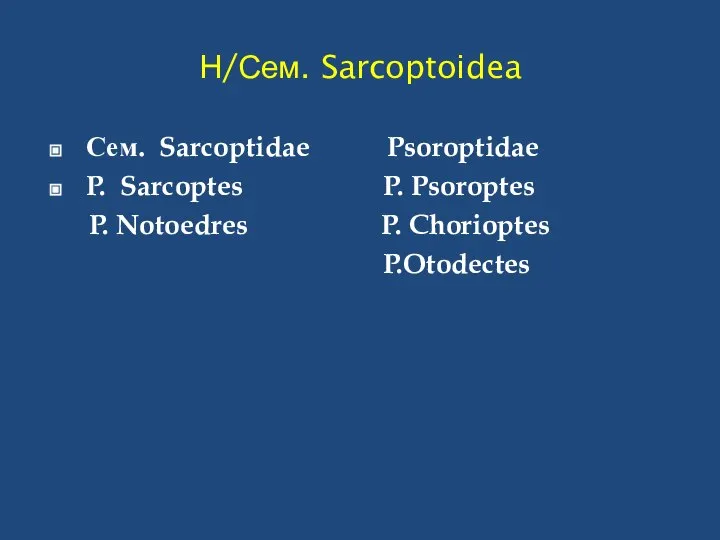 Н/Сем. Sarcoptoidea Сем. Sarcoptidae Psoroptidae P. Sarcoptes P. Psoroptes P. Notoedres P. Chorioptes P.Otodectes