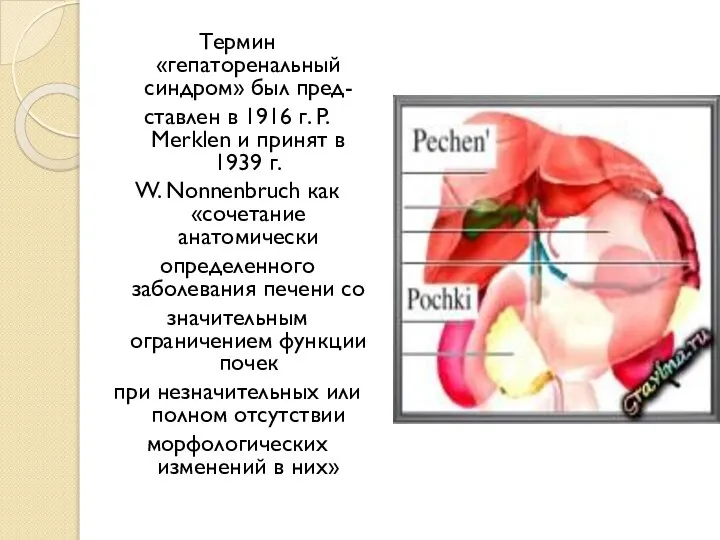 Термин «гепаторенальный синдром» был пред- ставлен в 1916 г. P. Merklen