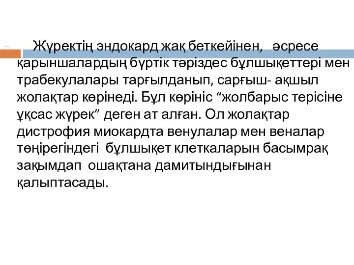 Жүректің эндокард жақ беткейінен, әсресе қарыншалардың бүртік тәріздес бұлшықеттері мен трабекулалары