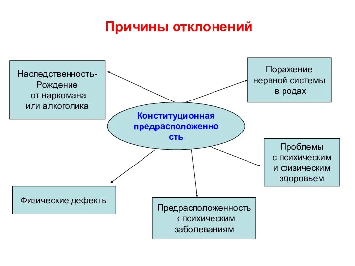 Наследственность- Рождение от наркомана или алкоголика Физические дефекты Поражение нервной системы