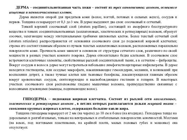 ДЕРМА – соединительнотканная часть кожи – состоит из трех компонентов: волокон,