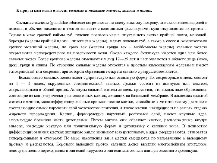 К придаткам кожи относят сальные и потовые железы, волосы и ногти.