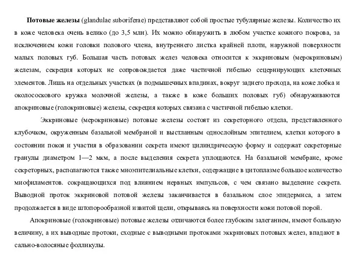 Потовые железы (glandulae suboriferae) представляют собой простые тубулярные железы. Количество их