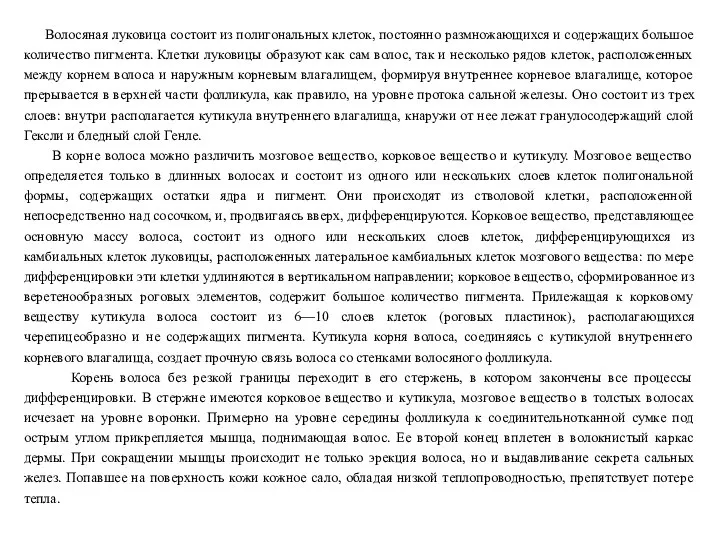 Волосяная луковица состоит из полигональных клеток, постоянно размножающихся и содержащих большое