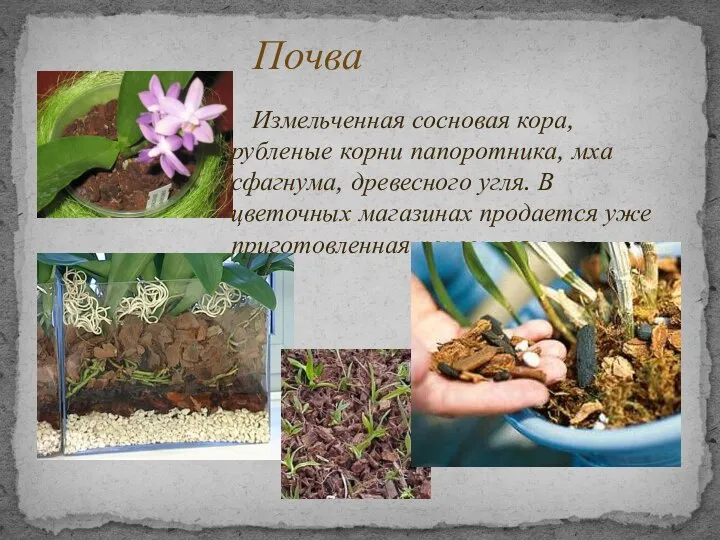 Измельченная сосновая кора, рубленые корни папоротника, мха сфагнума, древесного угля. В