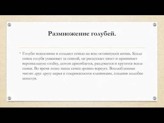 Размножение голубей. Голуби моногамны и создают семью на всю оставшуюся жизнь.