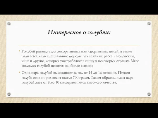 Интересное о голубях: Голубей разводят для декоративных или спортивных целей, а