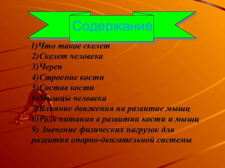 Содержание 1)Что такое скелет 2)Скелет человека 3)Череп 4)Строение кости 5)Состав кости