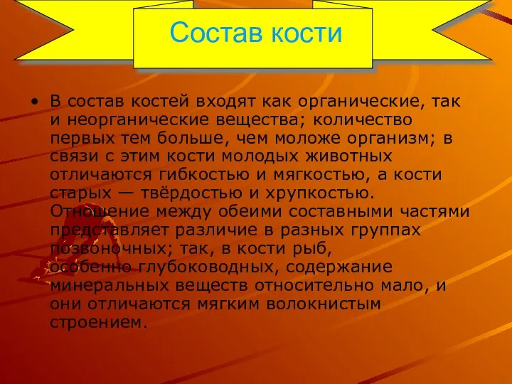 Состав кости В состав костей входят как органические, так и неорганические