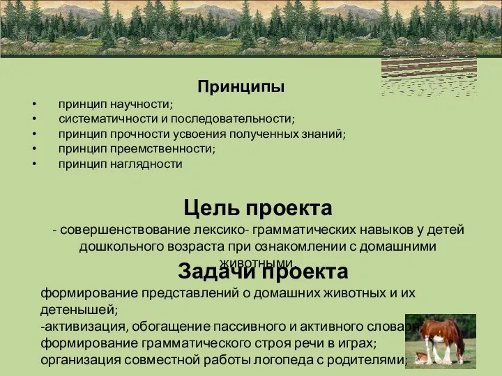 Цель проекта - совершенствование лексико- грамматических навыков у детей дошкольного возраста