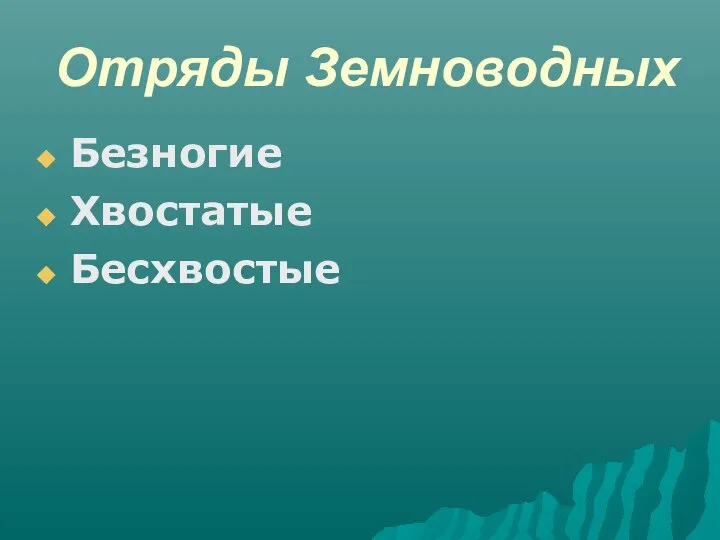 Отряды Земноводных Безногие Хвостатые Бесхвостые