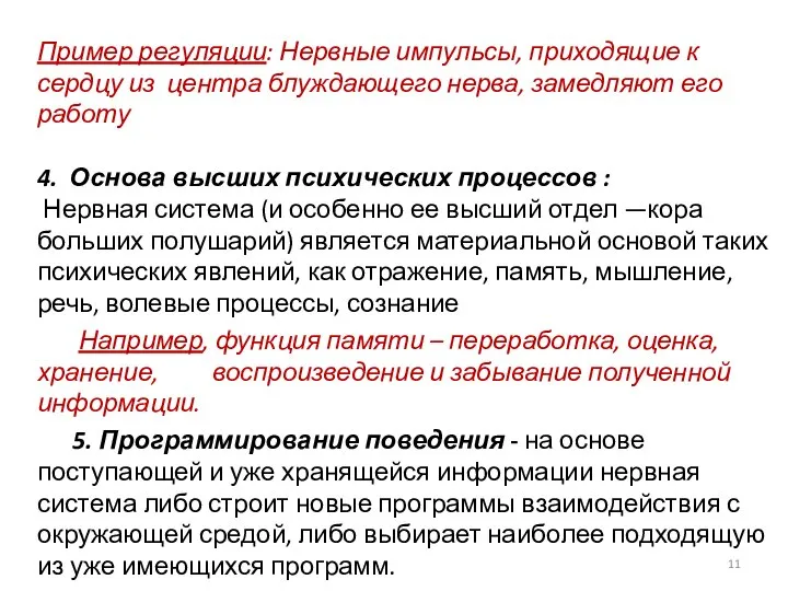 Пример регуляции: Нервные импульсы, приходящие к сердцу из центра блуждающего нерва,