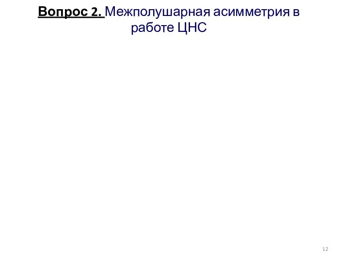 Вопрос 2. Межполушарная асимметрия в работе ЦНС