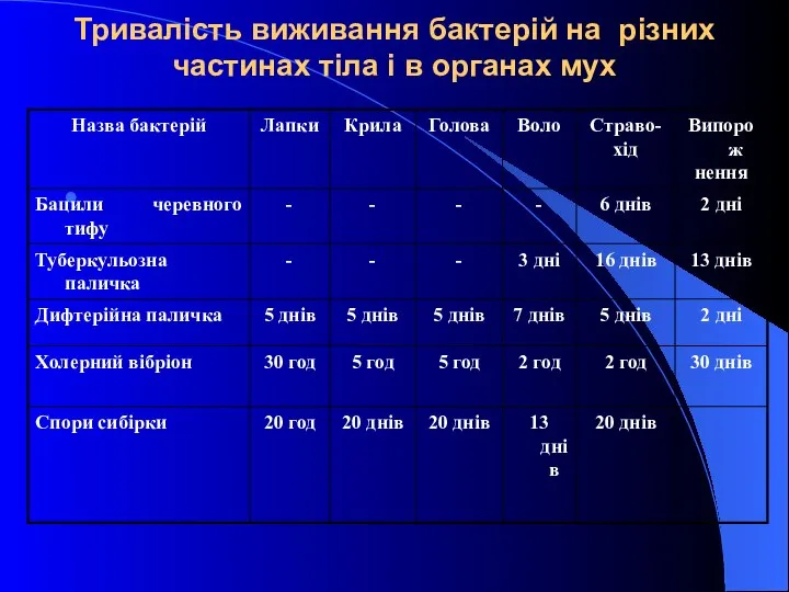 Тривалість виживання бактерій на різних частинах тіла і в органах мух