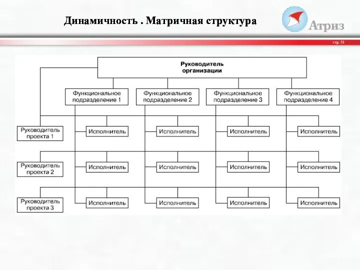 Динамичность . Матричная структура стр.