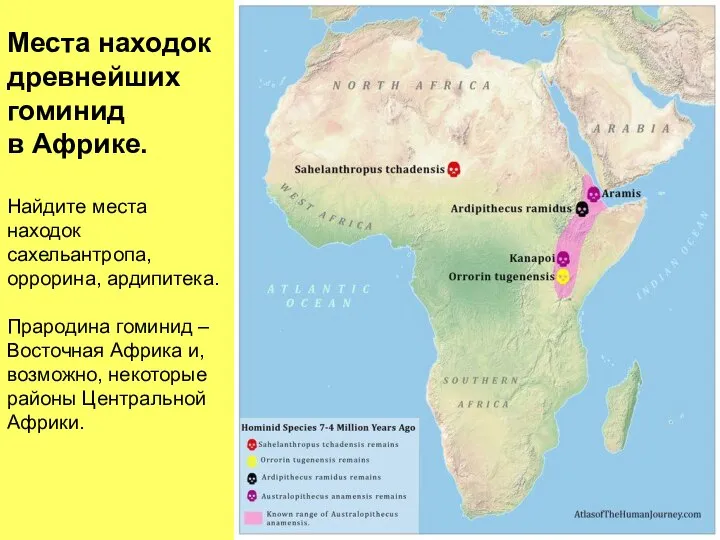 Места находок древнейших гоминид в Африке. Найдите места находок сахельантропа, оррорина,