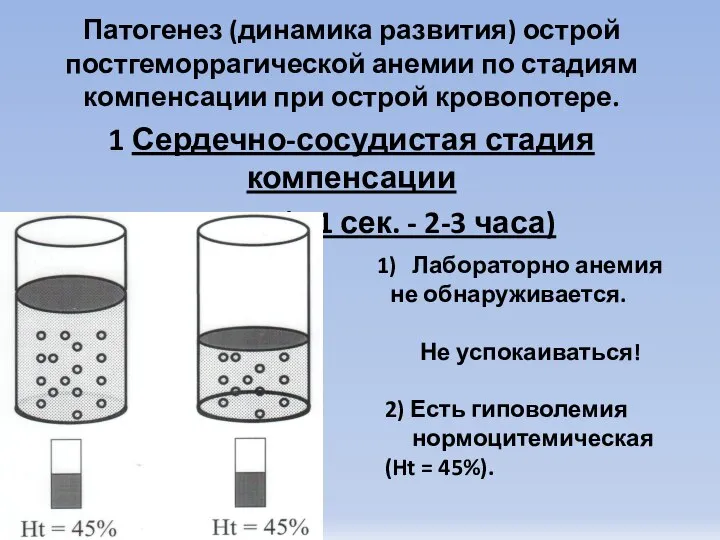 Патогенез (динамика развития) острой постгеморрагической анемии по стадиям компенсации при острой