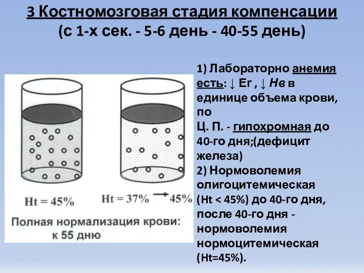 3 Костномозговая стадия компенсации (с 1-х сек. - 5-6 день -