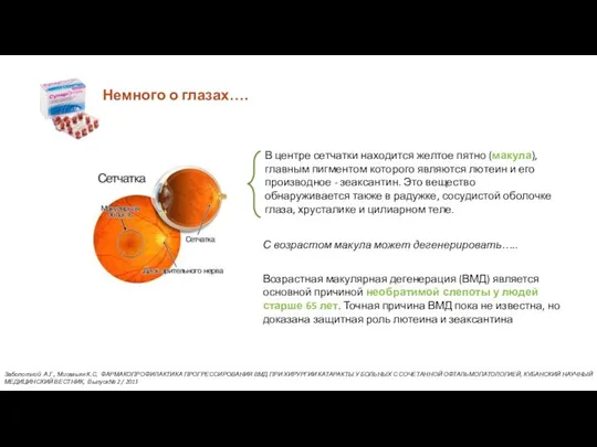 Немного о глазах…. В центре сетчатки находится желтое пятно (макула), главным