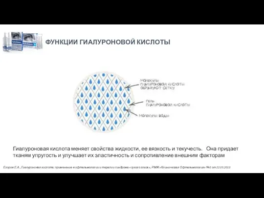 ФУНКЦИИ ГИАЛУРОНОВОЙ КИСЛОТЫ Гиалуроновая кислота меняет свойства жидкости, ее вязкость и