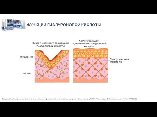 ФУНКЦИИ ГИАЛУРОНОВОЙ КИСЛОТЫ Егоров Е.А. ,Гиалуроновая кислота: применение в офтальмологии и