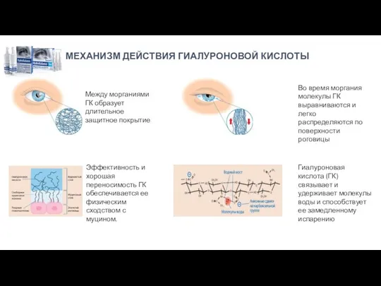 Гиалуроновая кислота (ГК) связывает и удерживает молекулы воды и способствует ее