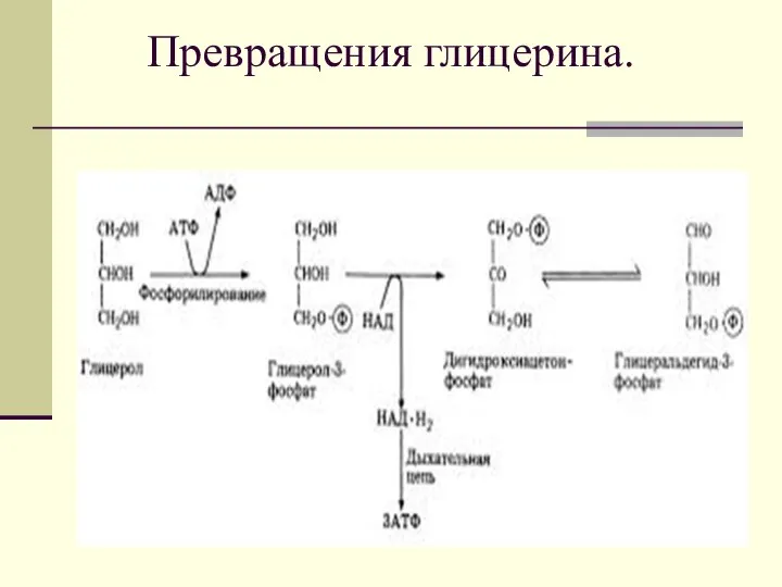 Превращения глицерина.