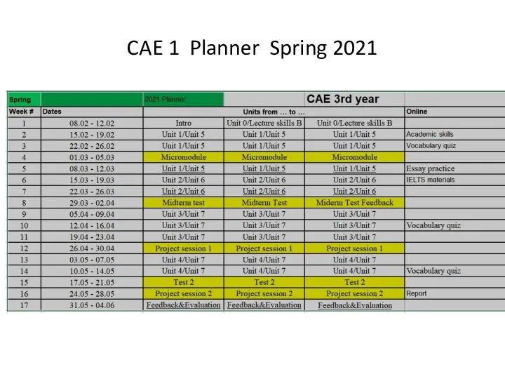 CAE 1 Planner Spring 2021