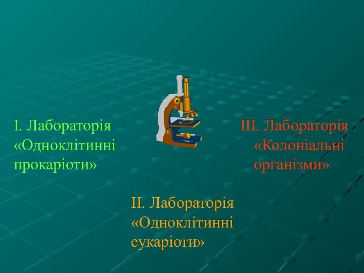 ІІ. Лабораторія «Одноклітинні еукаріоти»