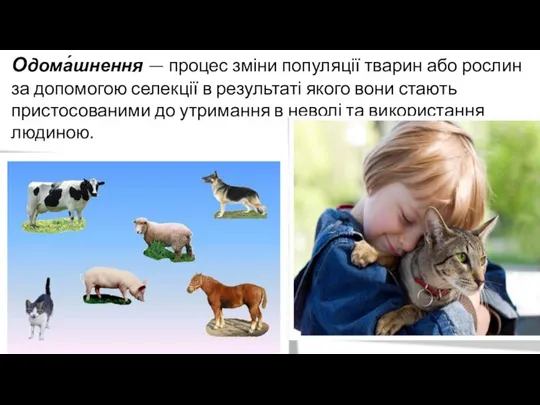 Одома́шнення — процес зміни популяції тварин або рослин за допомогою селекції