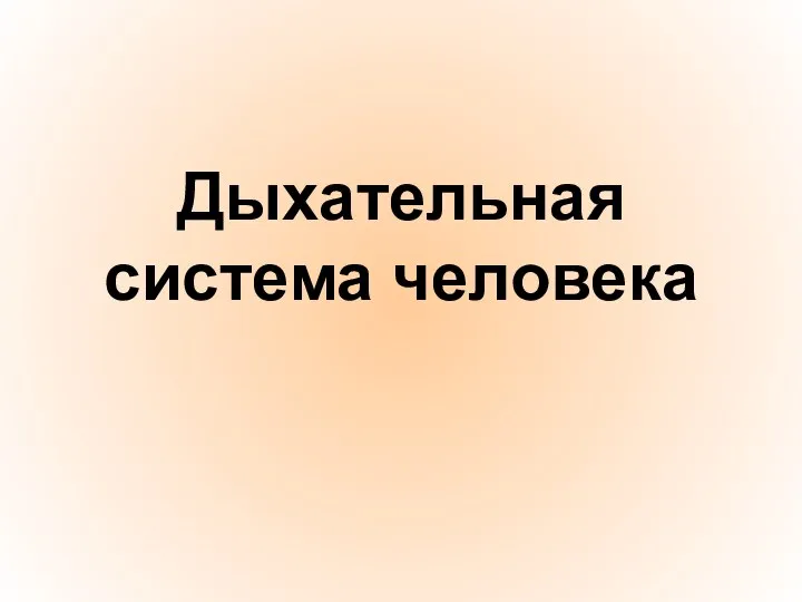 Дыхательная система человека