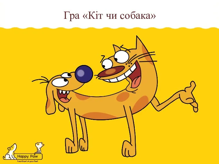 Гра «Кіт чи собака»
