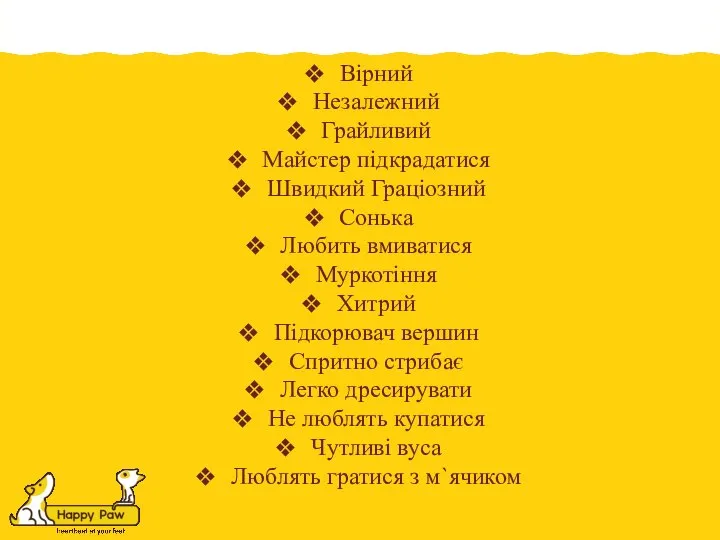 Вірний Незалежний Грайливий Майстер підкрадатися Швидкий Граціозний Сонька Любить вмиватися Муркотіння