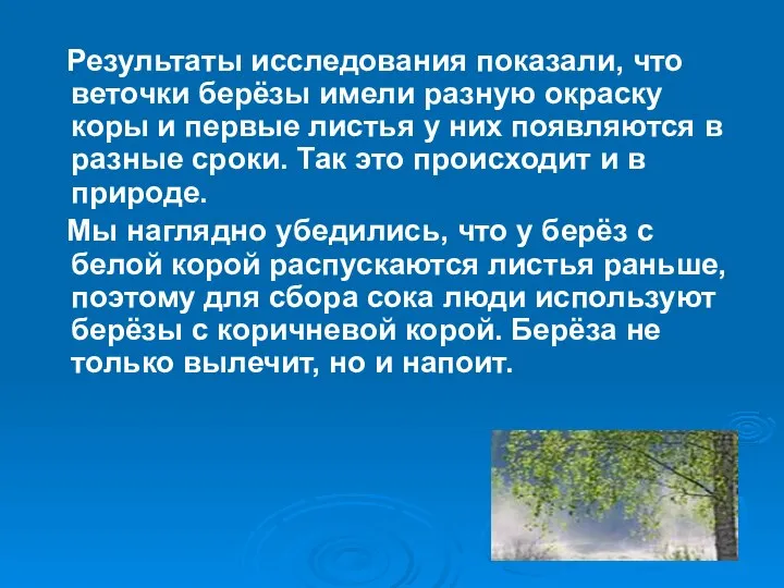 Результаты исследования показали, что веточки берёзы имели разную окраску коры и