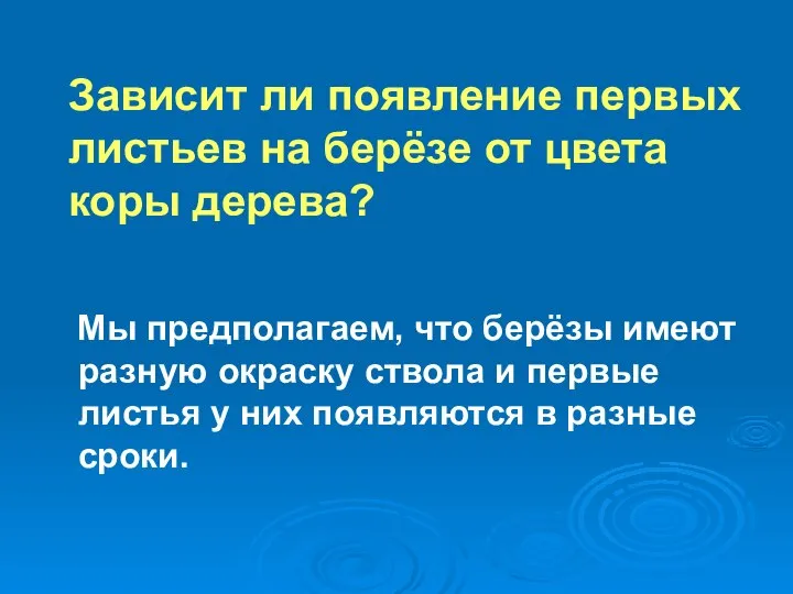 Зависит ли появление первых листьев на берёзе от цвета коры дерева?